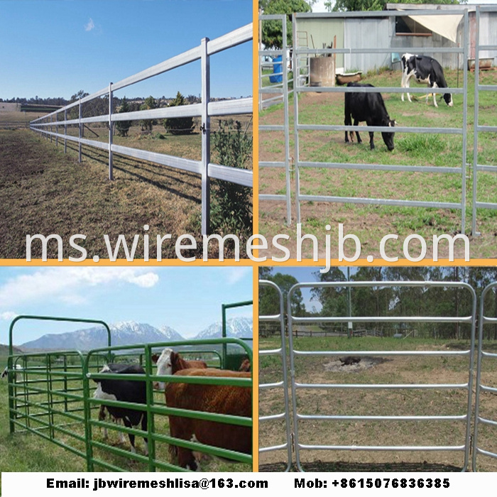 Galvanized Horse Fence/Cattle Fence/Livestock Fence